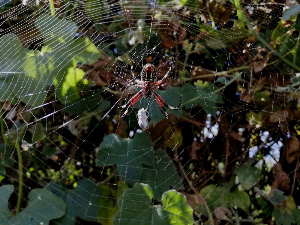 Photograph by Andrea Alcalá