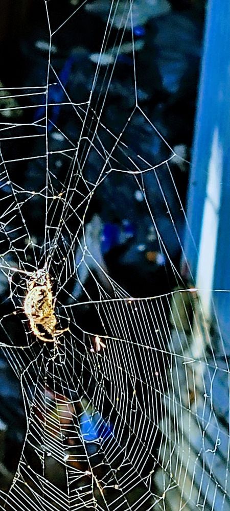 Photograph by Eichner Emily