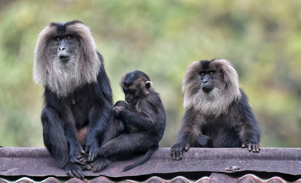 Photograph by Anantha ramu Mudagandur