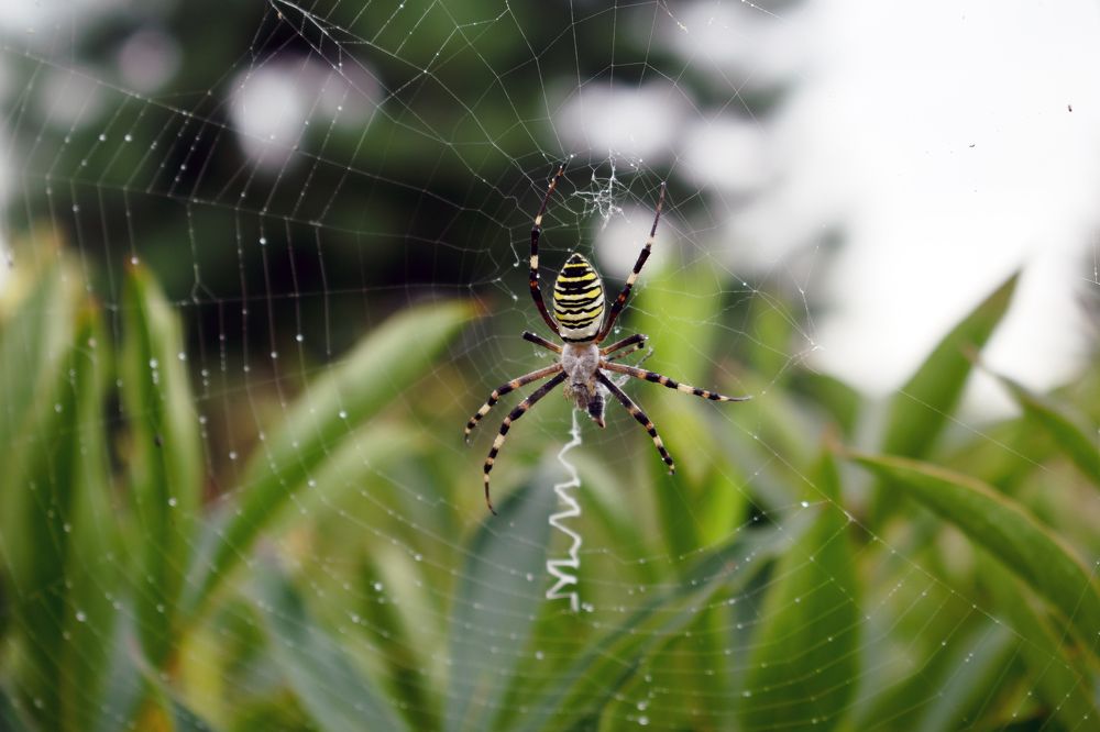 Photograph by Виктор Бурмистров