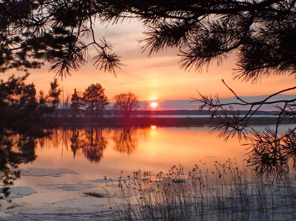 Photograph by Дмитрий Крылов