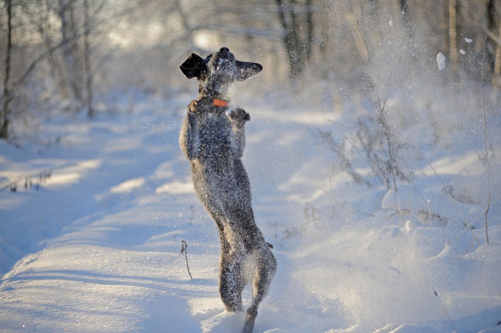 Photograph by Михаил