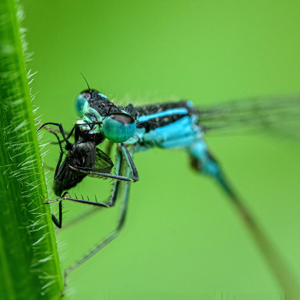 Photograph by  Mykhailo