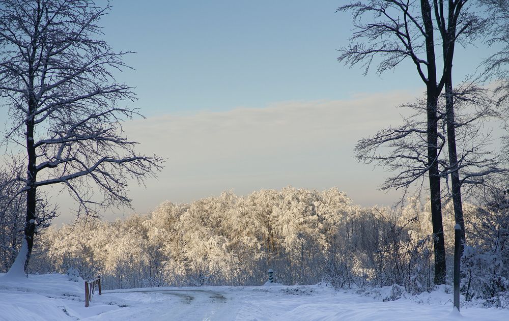Photograph by Антонина Вишневская