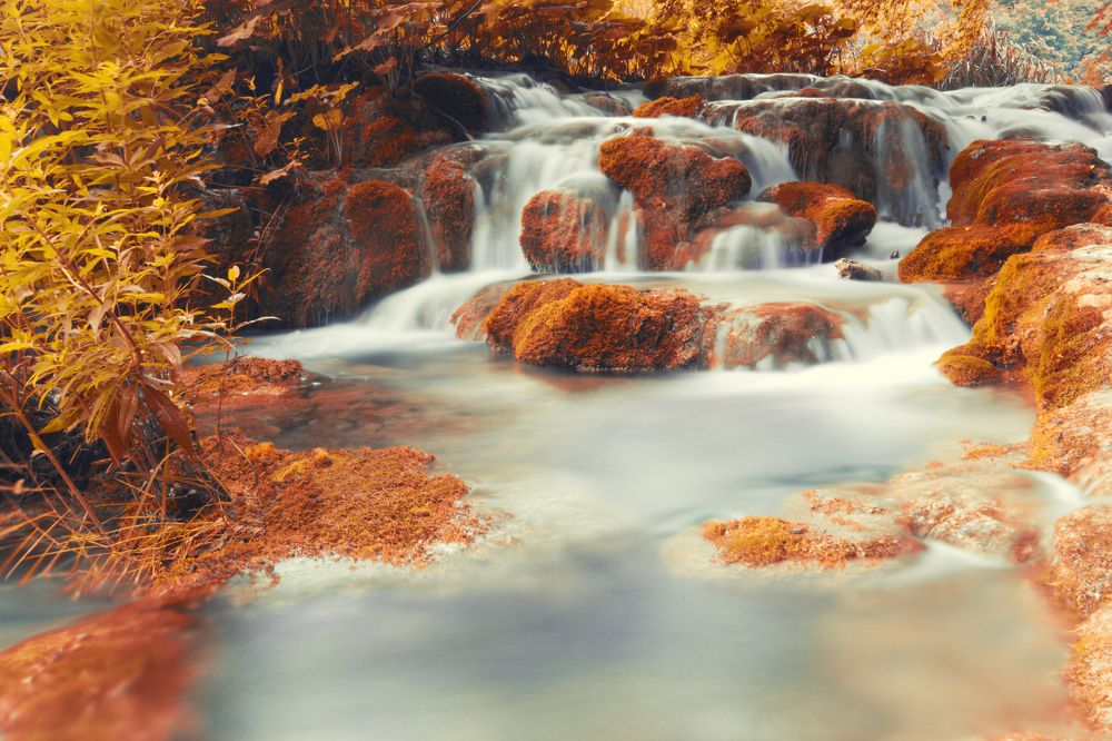 Photograph by Mihai Romeo Bogdan