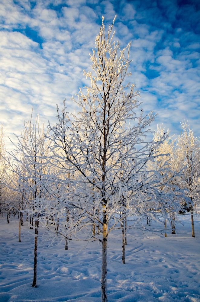 Photograph by Михаил Кондрацкий