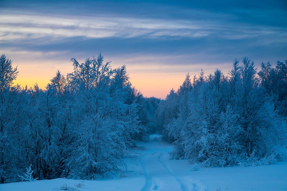 Photograph by Михаил Кондрацкий