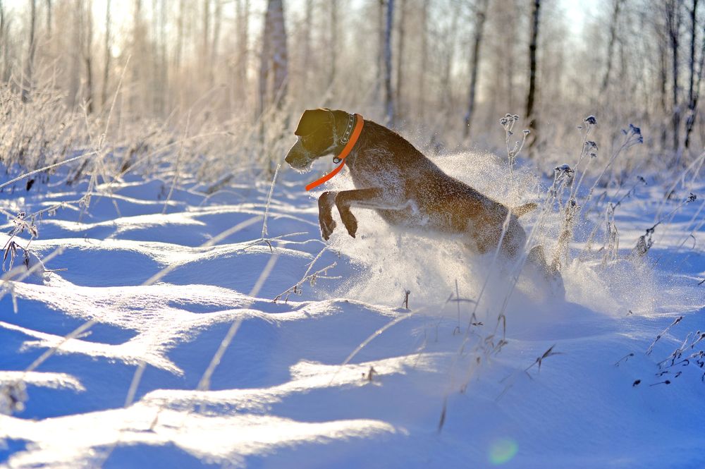 Photograph by Михаил