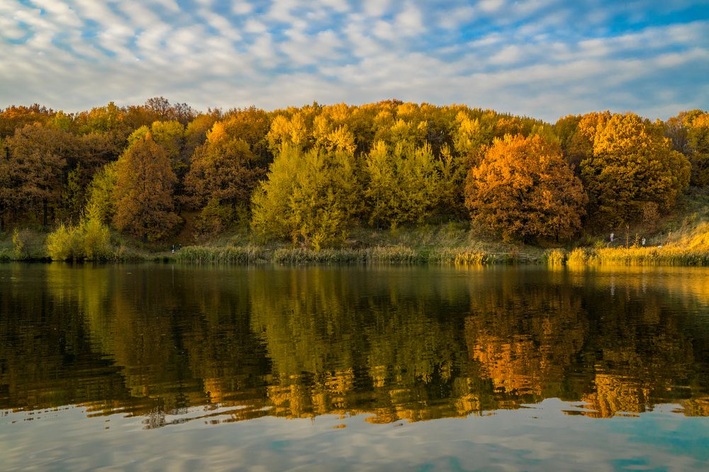 Фотография автора Василиса Новикова