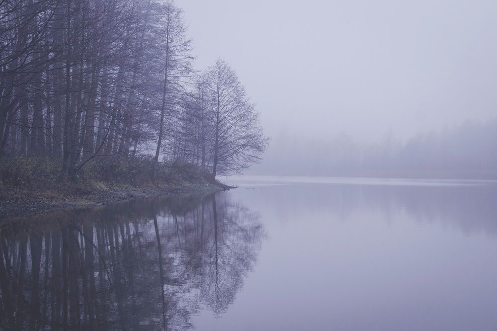 Photograph by Владислав Монахов