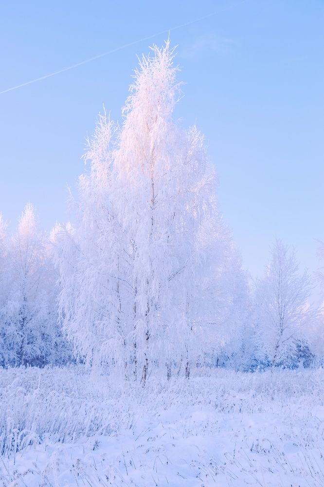 Photograph by Владислав Монахов