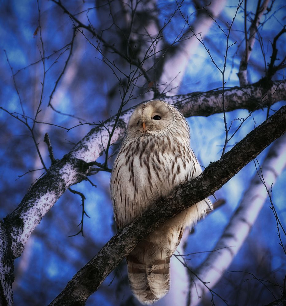 Фотография автора Andrey