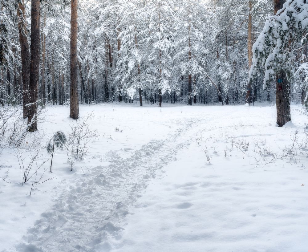 Photograph by Александр Соколов