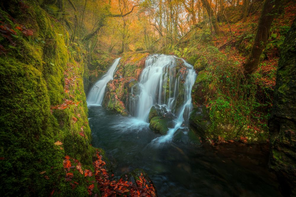 Photograph by Damian Varela