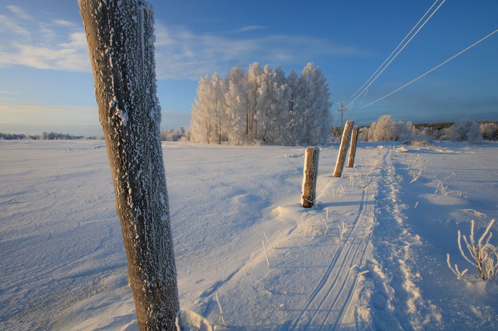 Photograph by Луферов Никита
