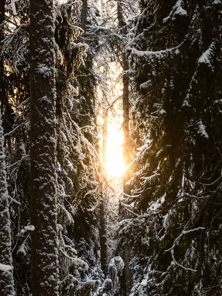 Photograph by Илья Юфа