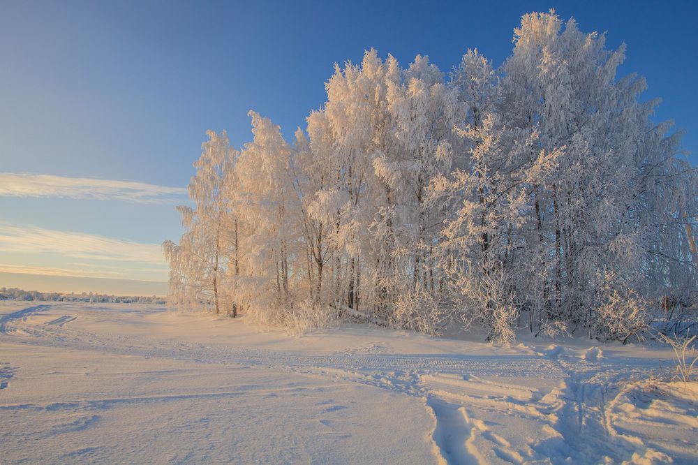 Photograph by Луферов Никита