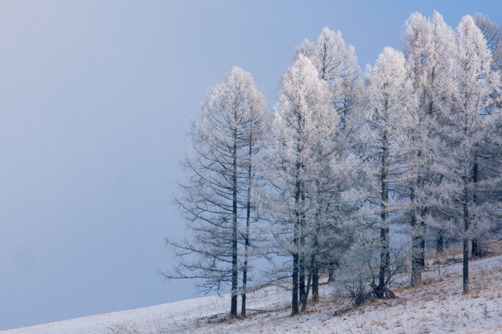 Начало зимы