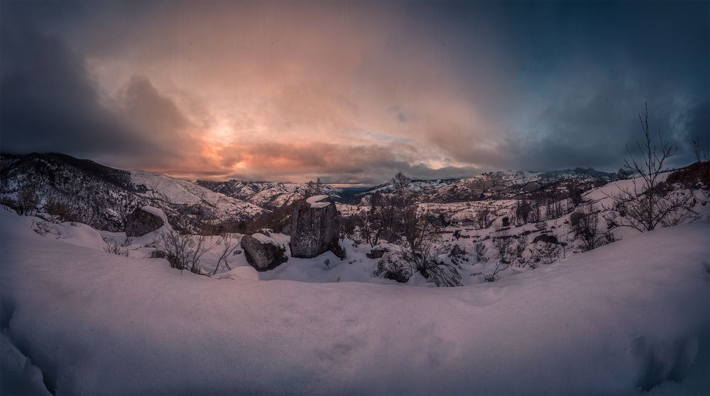 Photograph by Damian Varela