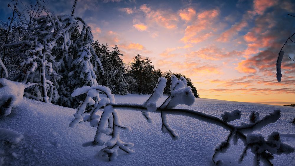 Photograph by Damian Varela