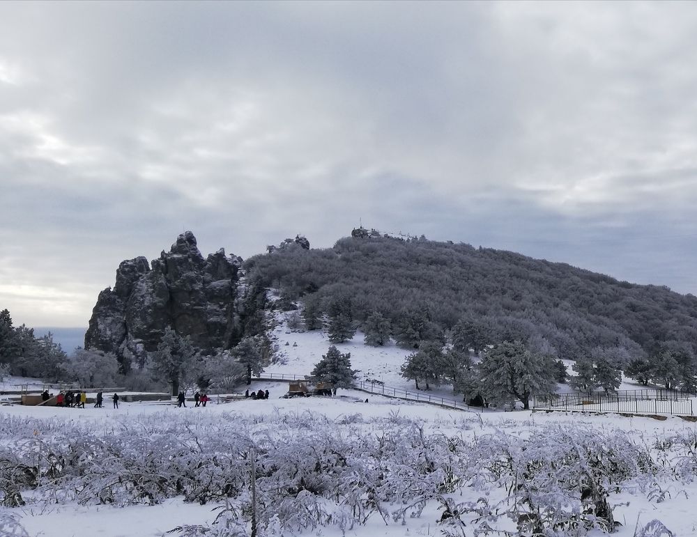 Photograph by Светлана Филимонова