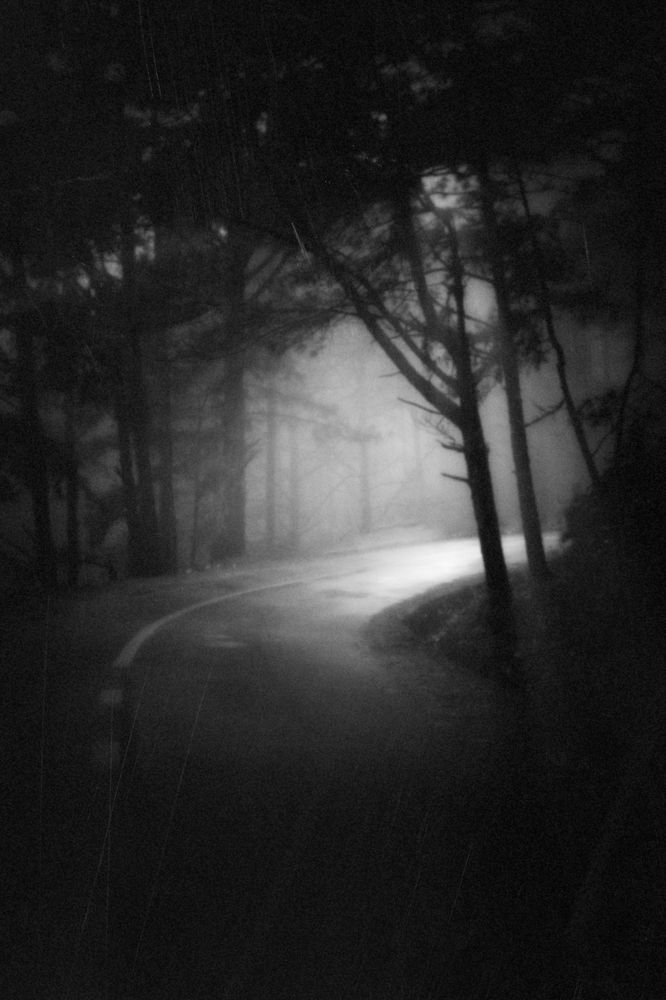 Photograph by Lý Tuấn Đạt