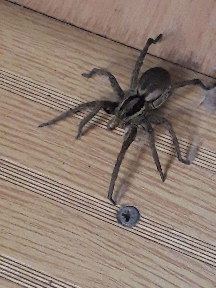 Photograph by Наталья Пусулиди