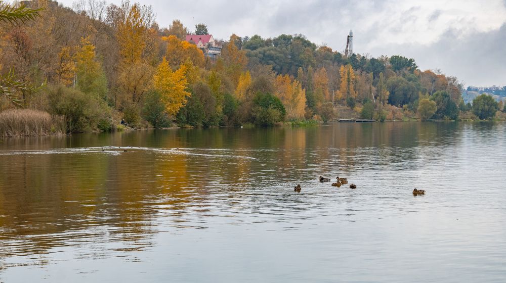 Photograph by Герман Корнеев