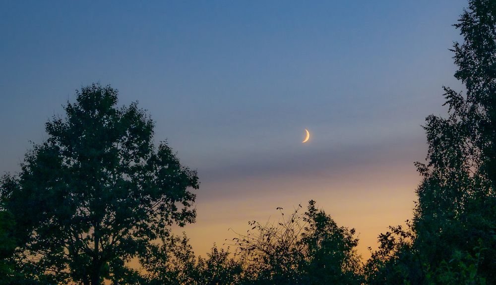 Photograph by Герман Корнеев