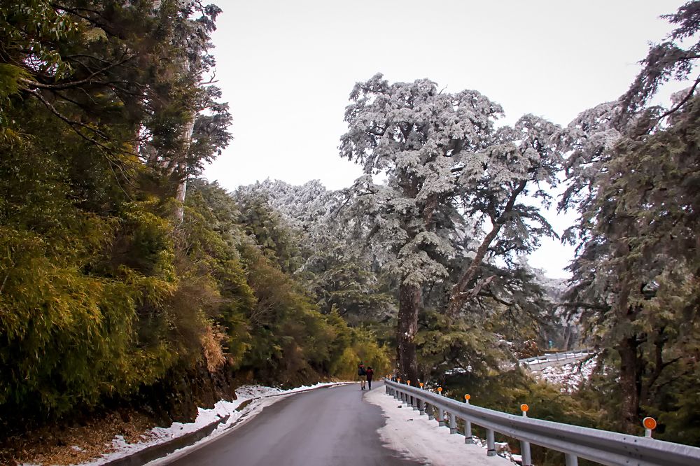 Photograph by Danny lai