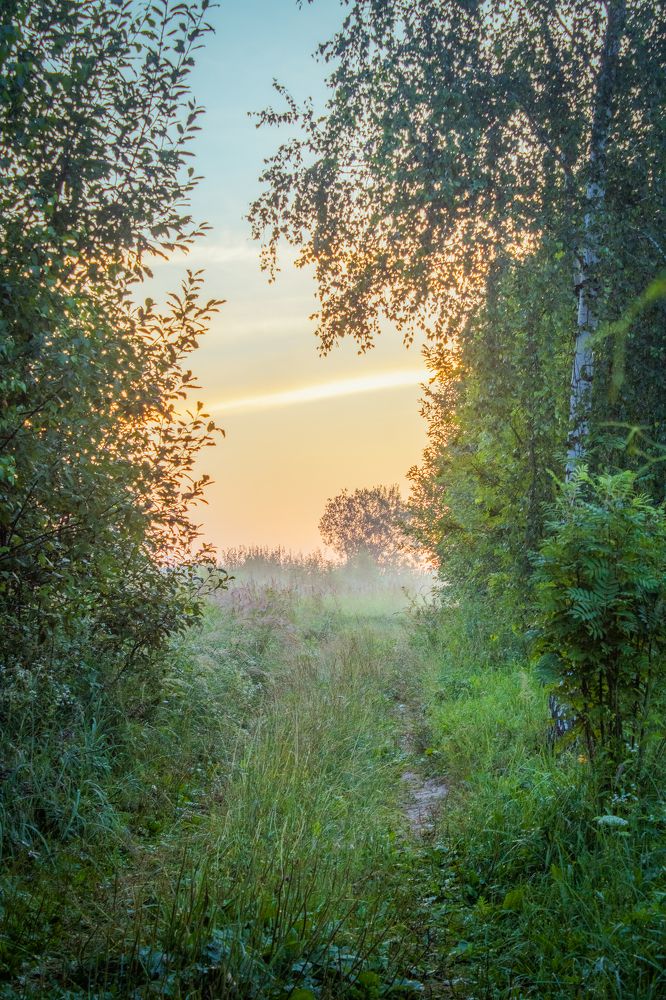 Photograph by Герман Корнеев