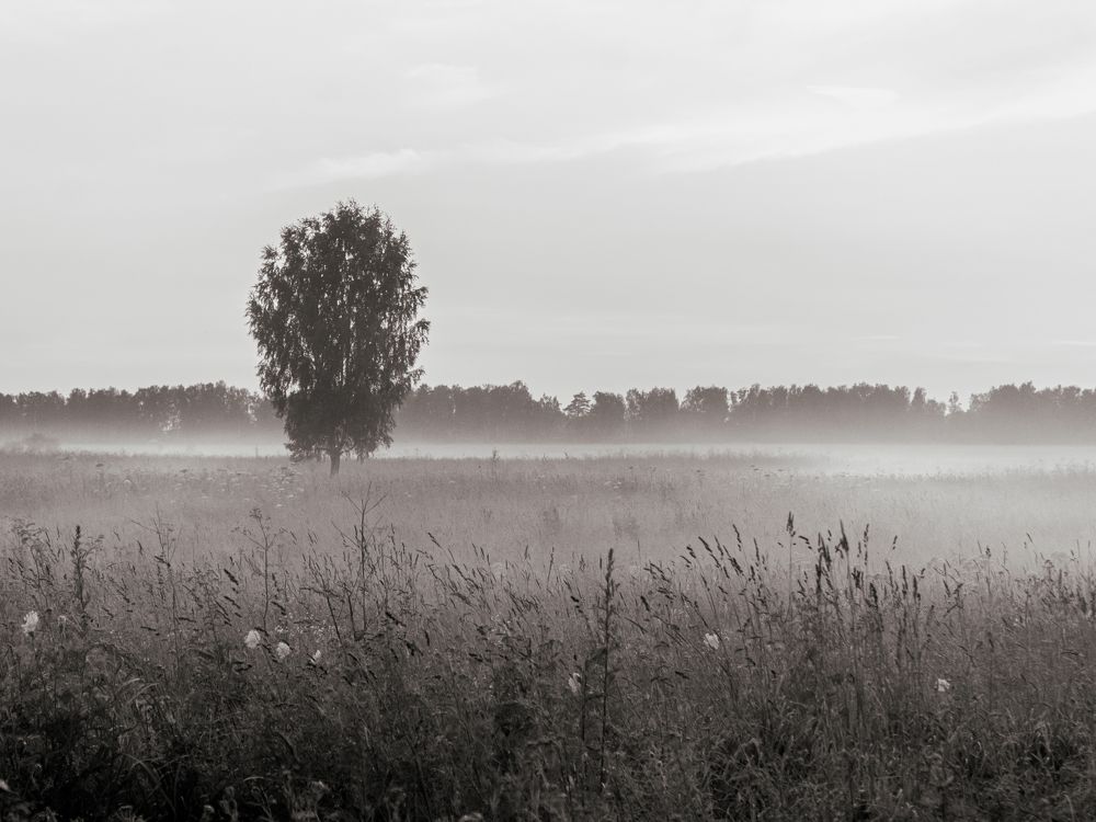 Photograph by Герман Корнеев