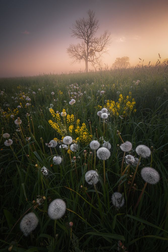 Photograph by Luboš Prchal