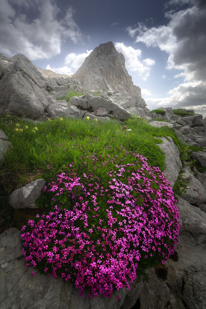 Photograph by Luboš Prchal