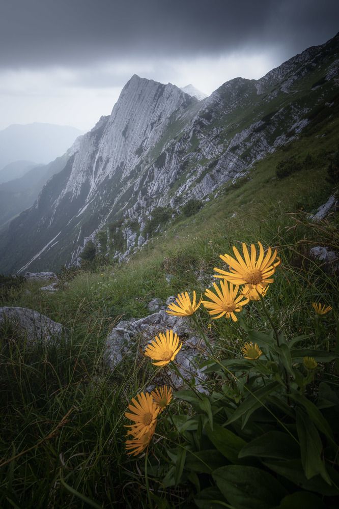 Photograph by Luboš Prchal
