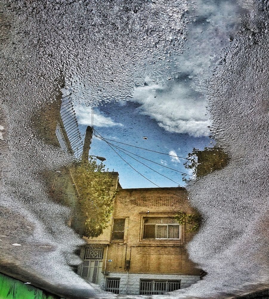 Photograph by safoura asghari