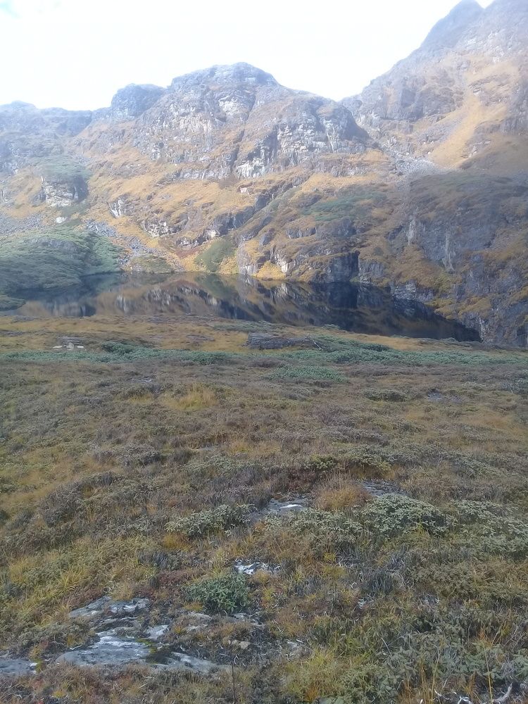 Photo #6955441