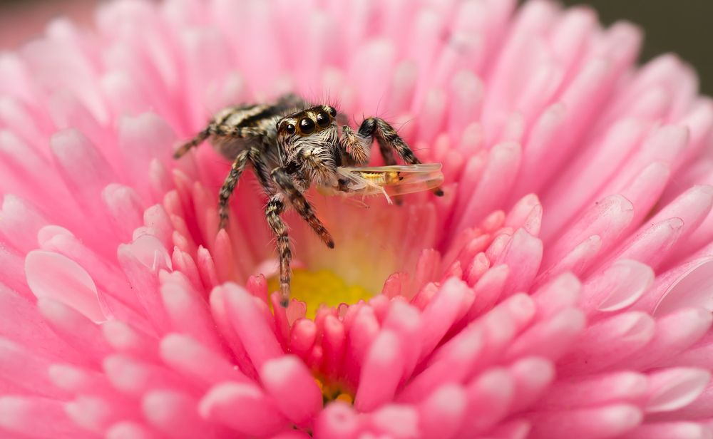 Photograph by Тараненко Анжелика