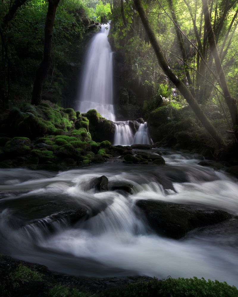 Photograph by Borja Rial Pereira