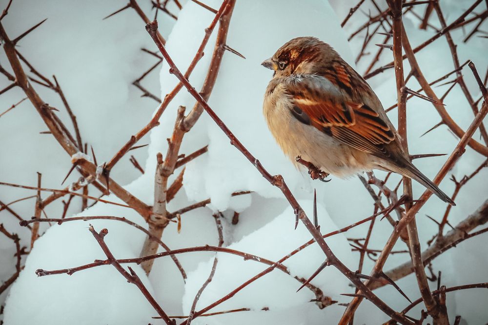 Photograph by Дмитрий Фадеев