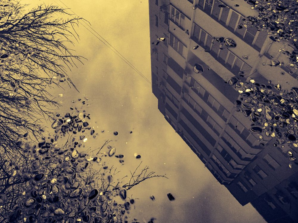 Photograph by Галина Литвинова