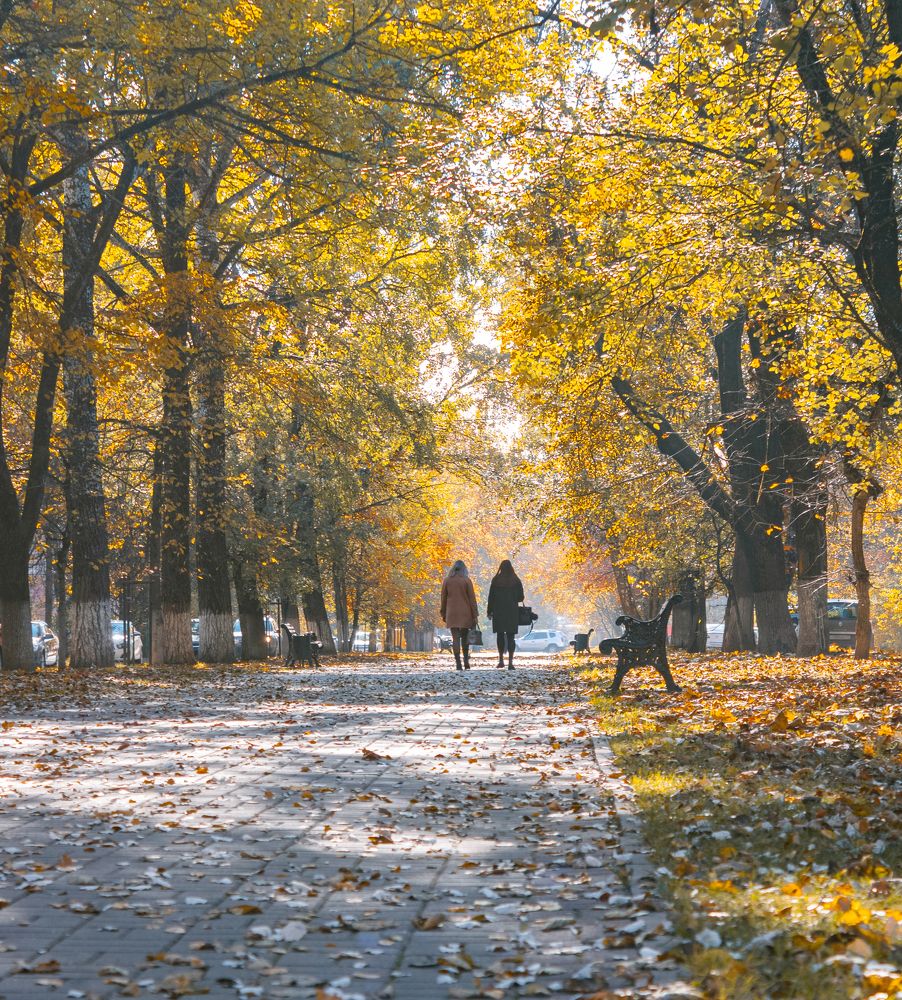 Photograph by Герман Корнеев