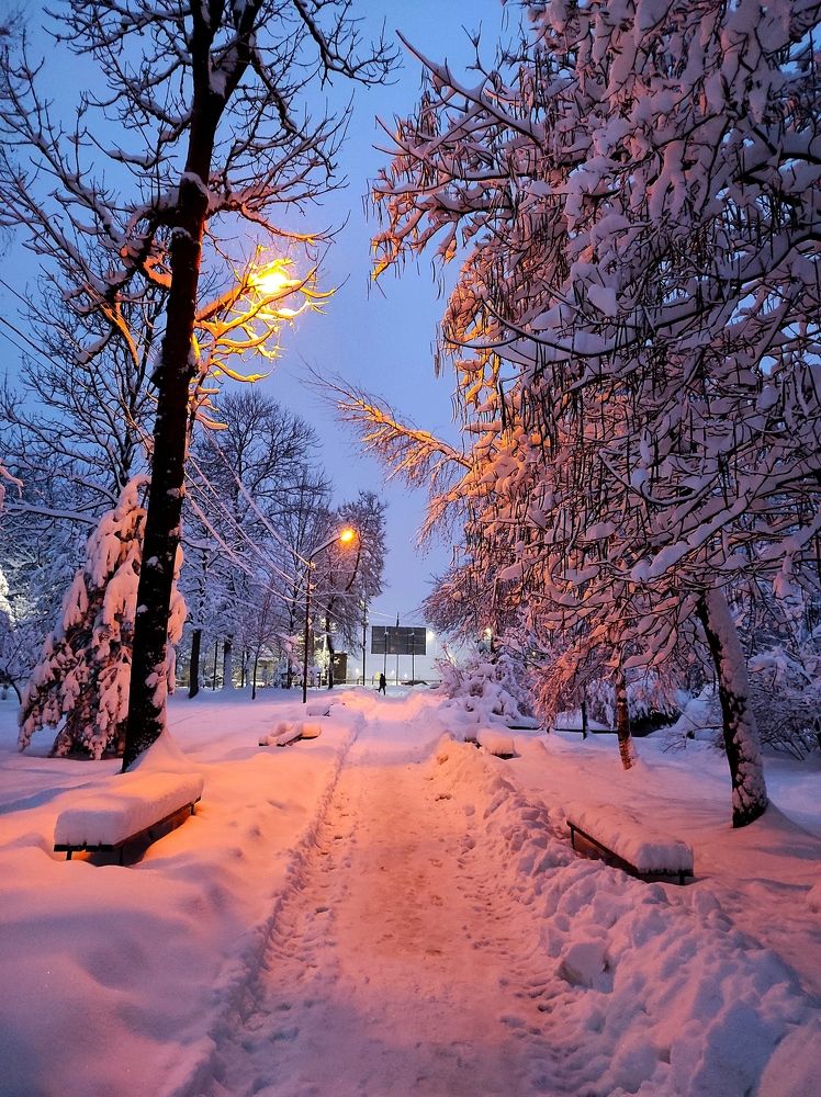 Photograph by Инна Макарчук