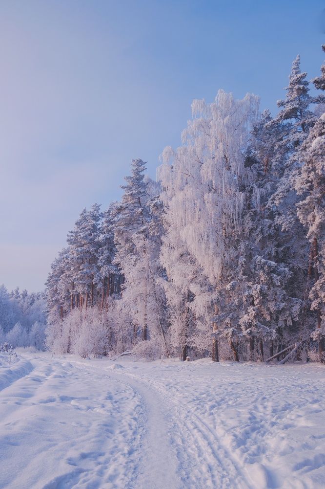 Photograph by Владислав Монахов