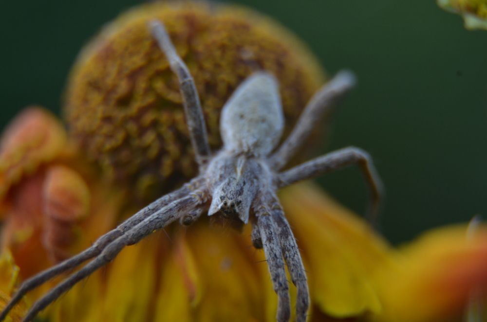 Photograph by Ольга Зиновьева