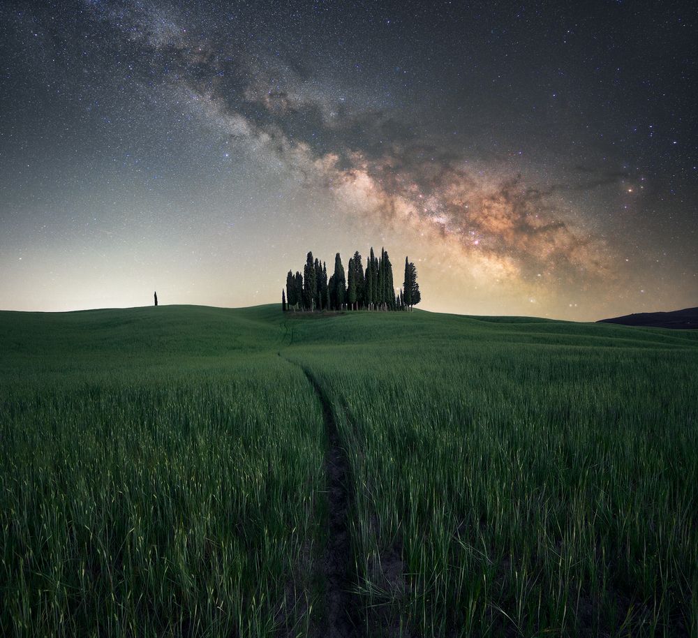 Photograph by Riccardo Cervia