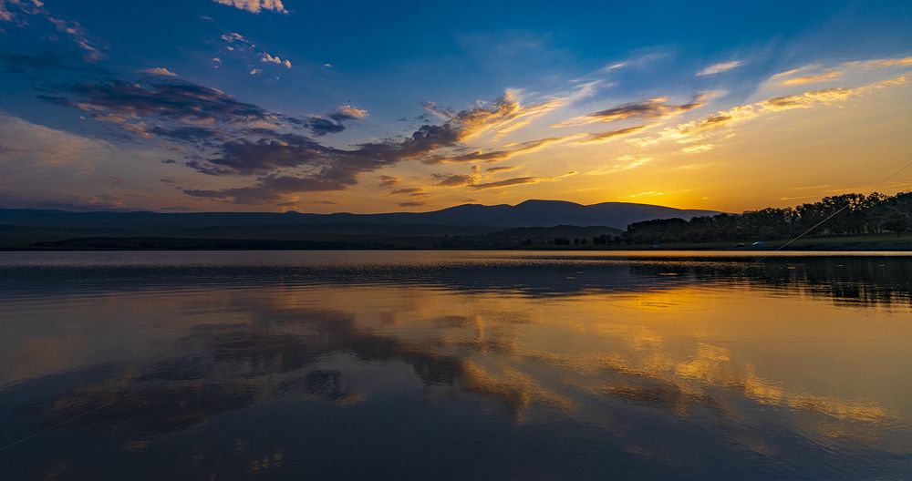 Photograph by Alex Kalpus