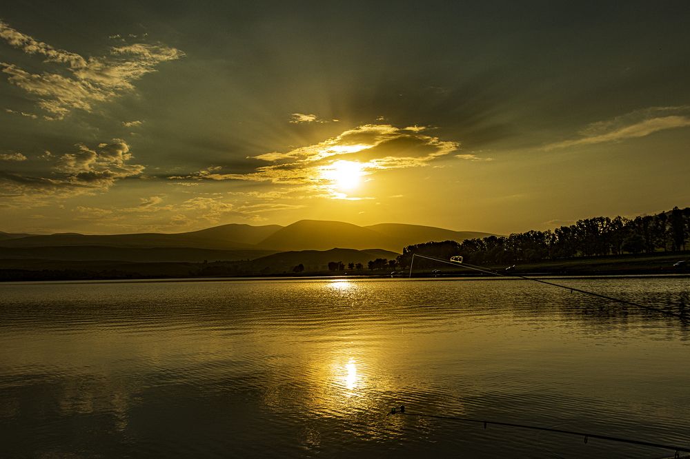 Photograph by Alex Kalpus