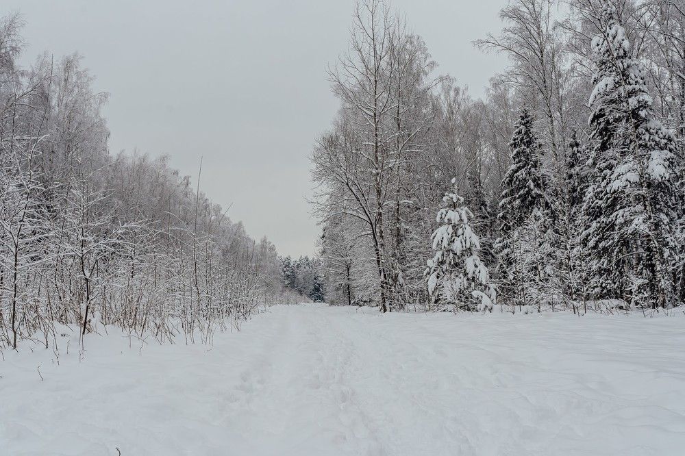 Photograph by Юлия Ефимова