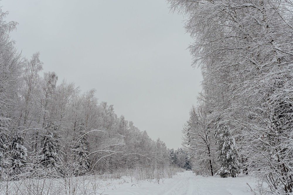 Photograph by Юлия Ефимова